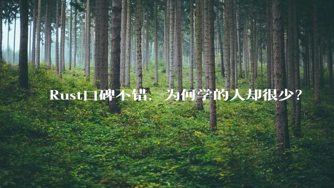 Rust口碑不错，为何学的人却很少？